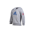adidas kapucnis pulóver, szürke, gyermek “MOL Fehérvár FC” címerrel