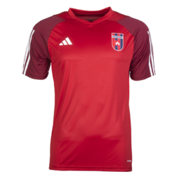 adidas edzőpóló 2024/2025, piros, felnőtt