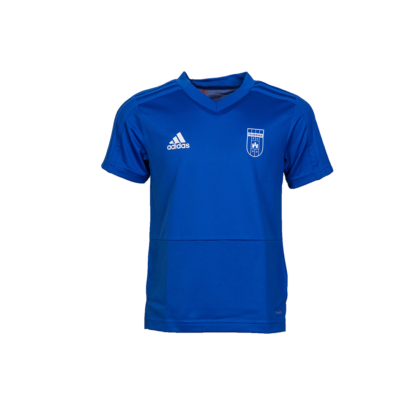 adidas edzőpóló 2019/2020, kék, rövid ujjú, gyermek