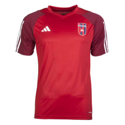 adidas edzőpóló 2024/2025, piros, felnőtt